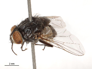  ( - CBG-B04794-E02)  @11 [ ] CreativeCommons - Attribution Share - Alike (2025) CBG Photography Group Centre for Biodiversity Genomics