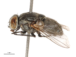  ( - CBG-B04794-F06)  @11 [ ] CreativeCommons - Attribution Share - Alike (2025) CBG Photography Group Centre for Biodiversity Genomics