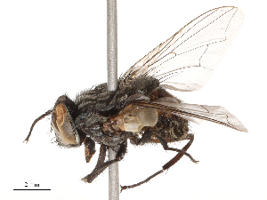  ( - CBG-B00195-G02)  @11 [ ] CreativeCommons - Attribution Share - Alike (2025) CBG Photography Group Centre for Biodiversity Genomics