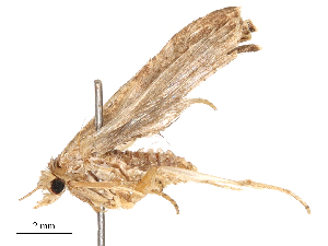  ( - CBG-B00195-H10)  @11 [ ] CreativeCommons - Attribution Share - Alike (2025) CBG Photography Group Centre for Biodiversity Genomics