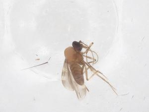  ( - CBG-B00285-B04)  @11 [ ] CreativeCommons - Attribution Share - Alike (2025) Centre for Biodiversity Genomics Centre for Biodiversity Genomics