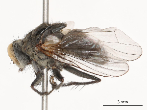  ( - CBG-B01797-F03)  @11 [ ] CreativeCommons - Attribution Share - Alike (2025) CBG Photography Group Centre for Biodiversity Genomics