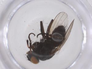  ( - CBG-B01834-E04)  @11 [ ] CreativeCommons - Attribution Share - Alike (2025) Centre for Biodiversity Genomics Centre for Biodiversity Genomics