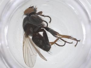  ( - CBG-B01835-C12)  @11 [ ] CreativeCommons - Attribution Share - Alike (2025) Centre for Biodiversity Genomics Centre for Biodiversity Genomics