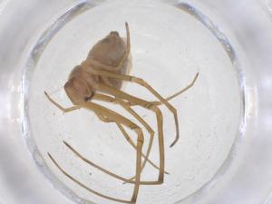  ( - CBG-B01847-E11)  @11 [ ] CreativeCommons - Attribution Share - Alike (2025) Centre for Biodiversity Genomics Centre for Biodiversity Genomics