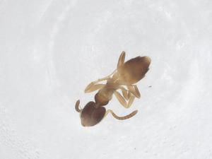  ( - CBG-B01850-E12)  @11 [ ] CreativeCommons - Attribution Share - Alike (2025) Centre for Biodiversity Genomics Centre for Biodiversity Genomics