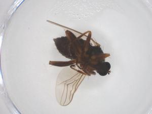  ( - CBG-B01858-G08)  @11 [ ] CreativeCommons - Attribution Share - Alike (2025) Centre for Biodiversity Genomics Centre for Biodiversity Genomics