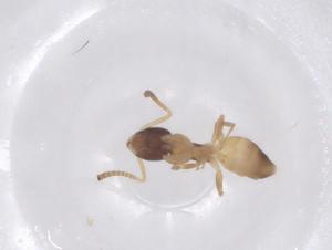  ( - CBG-B01978-E08)  @11 [ ] CreativeCommons - Attribution Share - Alike (2025) Centre for Biodiversity Genomics Centre for Biodiversity Genomics