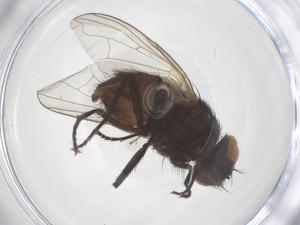  ( - CBG-B01979-H04)  @11 [ ] CreativeCommons - Attribution Share - Alike (2025) Centre for Biodiversity Genomics Centre for Biodiversity Genomics