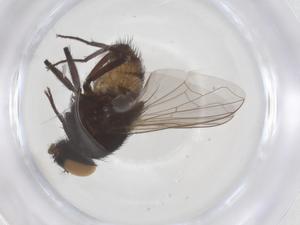  ( - CBG-B01989-B03)  @11 [ ] CreativeCommons - Attribution Share - Alike (2025) Centre for Biodiversity Genomics Centre for Biodiversity Genomics