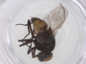  ( - CBG-B02512-A01)  @11 [ ] CreativeCommons - Attribution Share - Alike (2025) Centre for Biodiversity Genomics Centre for Biodiversity Genomics