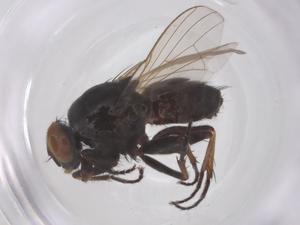  ( - CBG-B02512-A03)  @11 [ ] CreativeCommons - Attribution Share - Alike (2025) Centre for Biodiversity Genomics Centre for Biodiversity Genomics