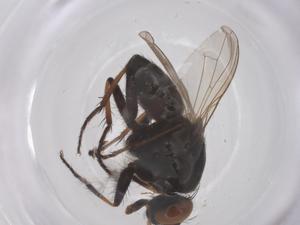  ( - CBG-B02512-A08)  @11 [ ] CreativeCommons - Attribution Share - Alike (2025) Centre for Biodiversity Genomics Centre for Biodiversity Genomics