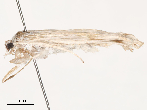  ( - CBG-B02535-A09)  @11 [ ] CreativeCommons - Attribution Share - Alike (2025) CBG Photography Group Centre for Biodiversity Genomics