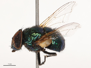  ( - CBG-B02538-F04)  @11 [ ] CreativeCommons - Attribution Share - Alike (2025) CBG Photography Group Centre for Biodiversity Genomics