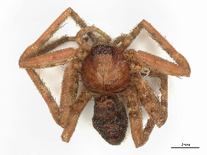  ( - CBG-B02538-H11)  @11 [ ] CreativeCommons - Attribution Share - Alike (2025) CBG Photography Group Centre for Biodiversity Genomics