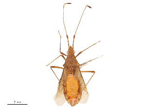  ( - CBG-B02548-B05)  @11 [ ] CreativeCommons - Attribution Share - Alike (2025) CBG Photography Group Centre for Biodiversity Genomics