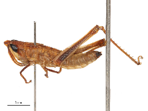  ( - CBG-B02548-E05)  @11 [ ] CreativeCommons - Attribution Share - Alike (2025) CBG Photography Group Centre for Biodiversity Genomics