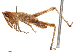  ( - CBG-B02548-E06)  @11 [ ] CreativeCommons - Attribution Share - Alike (2025) CBG Photography Group Centre for Biodiversity Genomics