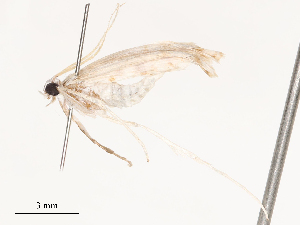  ( - CBG-B02550-F04)  @11 [ ] CreativeCommons - Attribution Share - Alike (2025) CBG Photography Group Centre for Biodiversity Genomics