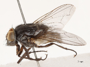  ( - CBG-B02550-G11)  @11 [ ] CreativeCommons - Attribution Share - Alike (2025) CBG Photography Group Centre for Biodiversity Genomics