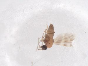  ( - CBG-B02575-D04)  @11 [ ] CreativeCommons - Attribution Share - Alike (2025) Centre for Biodiversity Genomics Centre for Biodiversity Genomics