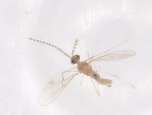  ( - CBG-B02578-E04)  @11 [ ] CreativeCommons - Attribution Share - Alike (2025) Centre for Biodiversity Genomics Centre for Biodiversity Genomics