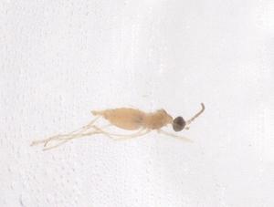  ( - CBG-B02578-G10)  @11 [ ] CreativeCommons - Attribution Share - Alike (2025) Centre for Biodiversity Genomics Centre for Biodiversity Genomics