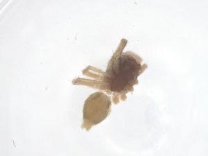  ( - CBG-B02581-E01)  @11 [ ] CreativeCommons - Attribution Share - Alike (2025) Centre for Biodiversity Genomics Centre for Biodiversity Genomics