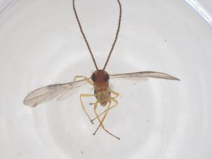  ( - CBG-B02788-D08)  @11 [ ] CreativeCommons - Attribution Share - Alike (2025) Centre for Biodiversity Genomics Centre for Biodiversity Genomics