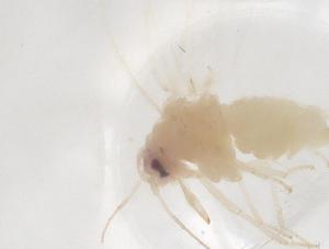  ( - CBG-B02788-F04)  @11 [ ] CreativeCommons - Attribution Share - Alike (2025) Centre for Biodiversity Genomics Centre for Biodiversity Genomics