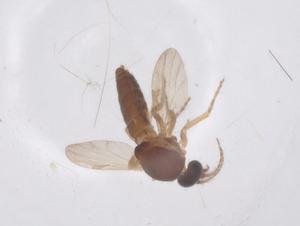  ( - CBG-B03183-D10)  @11 [ ] CreativeCommons - Attribution Share - Alike (2025) Centre for Biodiversity Genomics Centre for Biodiversity Genomics