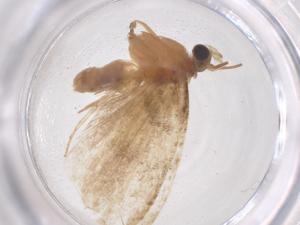  ( - CBG-B05194-H06)  @11 [ ] CreativeCommons - Attribution Share - Alike (2025) Centre for Biodiversity Genomics Centre for Biodiversity Genomics