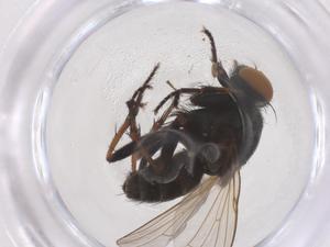  ( - CBG-B23701-C02)  @11 [ ] CreativeCommons - Attribution Share - Alike (2025) Centre for Biodiversity Genomics Centre for Biodiversity Genomics