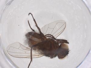  ( - CBG-B23701-D07)  @11 [ ] CreativeCommons - Attribution Share - Alike (2025) Centre for Biodiversity Genomics Centre for Biodiversity Genomics