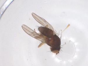  ( - CBG-B23724-G02)  @11 [ ] CreativeCommons - Attribution Share - Alike (2025) Centre for Biodiversity Genomics Centre for Biodiversity Genomics