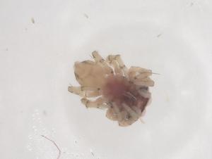  ( - CBG-B00157-B04)  @11 [ ] CreativeCommons - Attribution Share - Alike (2025) Centre for Biodiversity Genomics Centre for Biodiversity Genomics