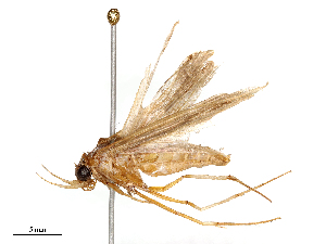  ( - CBG-B04806-A03)  @11 [ ] CreativeCommons - Attribution Share - Alike (2025) CBG Photography Group Centre for Biodiversity Genomics