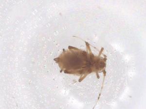  ( - CBG-B04998-G02)  @11 [ ] CreativeCommons - Attribution Share - Alike (2025) Centre for Biodiversity Genomics Centre for Biodiversity Genomics