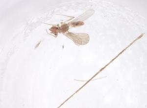  ( - CBG-B00210-A01)  @11 [ ] CreativeCommons - Attribution Share - Alike (2025) Centre for Biodiversity Genomics Centre for Biodiversity Genomics