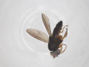  ( - CBG-B00214-A07)  @11 [ ] CreativeCommons - Attribution Share - Alike (2025) Centre for Biodiversity Genomics Centre for Biodiversity Genomics