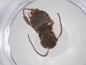  ( - CBG-B00214-D04)  @11 [ ] CreativeCommons - Attribution Share - Alike (2025) Centre for Biodiversity Genomics Centre for Biodiversity Genomics