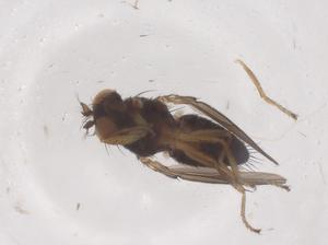  ( - CBG-B02753-D03)  @11 [ ] CreativeCommons - Attribution Share - Alike (2025) Centre for Biodiversity Genomics Centre for Biodiversity Genomics