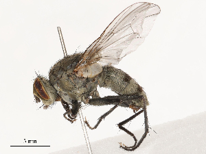  ( - CBG-B03168-F03)  @11 [ ] CreativeCommons - Attribution Share - Alike (2025) CBG Photography Group Centre for Biodiversity Genomics