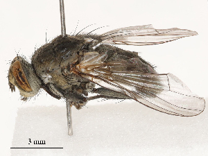  ( - CBG-B03168-F05)  @11 [ ] CreativeCommons - Attribution Share - Alike (2025) CBG Photography Group Centre for Biodiversity Genomics