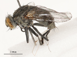  ( - CBG-B03168-F06)  @11 [ ] CreativeCommons - Attribution Share - Alike (2025) CBG Photography Group Centre for Biodiversity Genomics