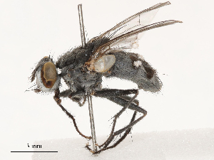  ( - CBG-B03168-F07)  @11 [ ] CreativeCommons - Attribution Share - Alike (2025) CBG Photography Group Centre for Biodiversity Genomics