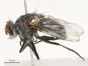  ( - CBG-B03168-F08)  @11 [ ] CreativeCommons - Attribution Share - Alike (2025) CBG Photography Group Centre for Biodiversity Genomics