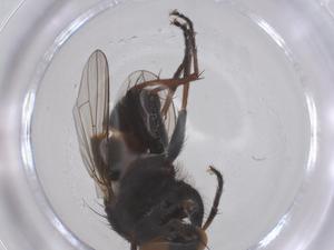  ( - CBG-B04376-F03)  @11 [ ] CreativeCommons - Attribution Share - Alike (2025) Centre for Biodiversity Genomics Centre for Biodiversity Genomics