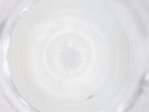  ( - CBG-B05174-A02)  @11 [ ] CreativeCommons - Attribution Share - Alike (2025) Centre for Biodiversity Genomics Centre for Biodiversity Genomics